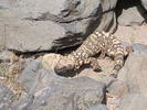 photo thumbnail #14