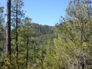 photo thumbnail #7