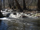 photo thumbnail #9