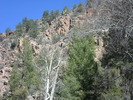 photo thumbnail #10