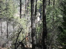 photo thumbnail #13