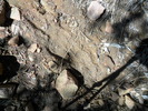photo thumbnail #14