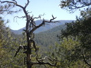 photo thumbnail #15