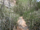 photo thumbnail #15
