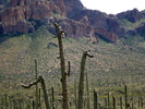 photo thumbnail #8
