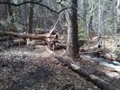 photo thumbnail #4