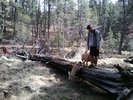 photo thumbnail #1