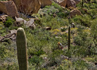 photo thumbnail #8