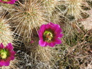 photo thumbnail #11