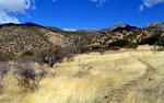 photo thumbnail #4