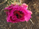 photo thumbnail #4