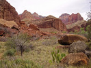photo thumbnail #14