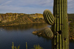 photo thumbnail #3