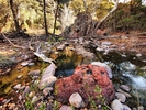 photo thumbnail #7