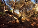 photo thumbnail #11