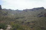 photo thumbnail #7