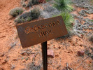 photo thumbnail #8