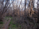 photo thumbnail #9