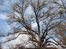 photo thumbnail #10