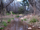 photo thumbnail #15