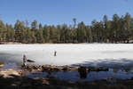 photo thumbnail #2