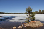 photo thumbnail #3