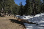 photo thumbnail #8