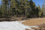 photo thumbnail #11