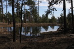 photo thumbnail #12