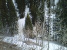 photo thumbnail #10