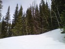 photo thumbnail #12