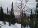 photo thumbnail #14