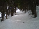 photo thumbnail #15