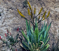 photo thumbnail #7