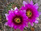 photo thumbnail #11