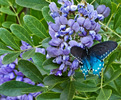 photo thumbnail #13