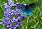 photo thumbnail #14