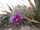 photo thumbnail #7