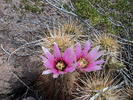 photo thumbnail #6