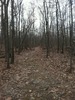 photo thumbnail #9
