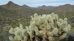 photo thumbnail #7