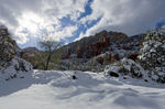 photo thumbnail #3