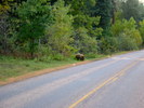 photo thumbnail #1