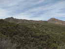 photo thumbnail #11