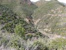 photo thumbnail #13