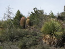 photo thumbnail #15