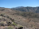 photo thumbnail #9