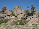 photo thumbnail #1