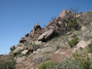 photo thumbnail #2