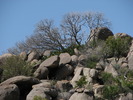 photo thumbnail #6